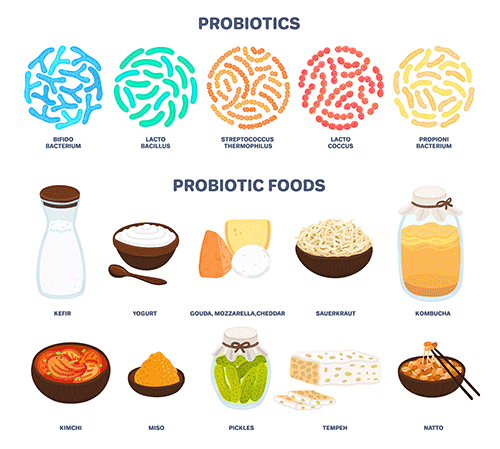 Probiotics for Gut Health