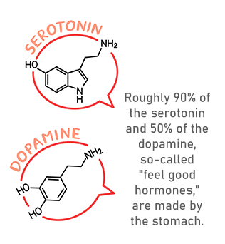serotonin and dopamine formulas in speech bubbles