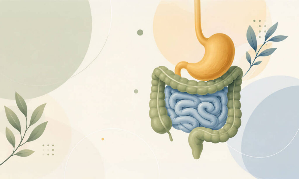 How Opioids Affect Your Digestive System