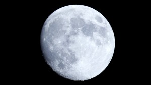 MOON Study Poster Contest