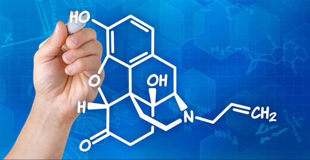 What is Naloxone? Rapid Detox by the Waismann Method